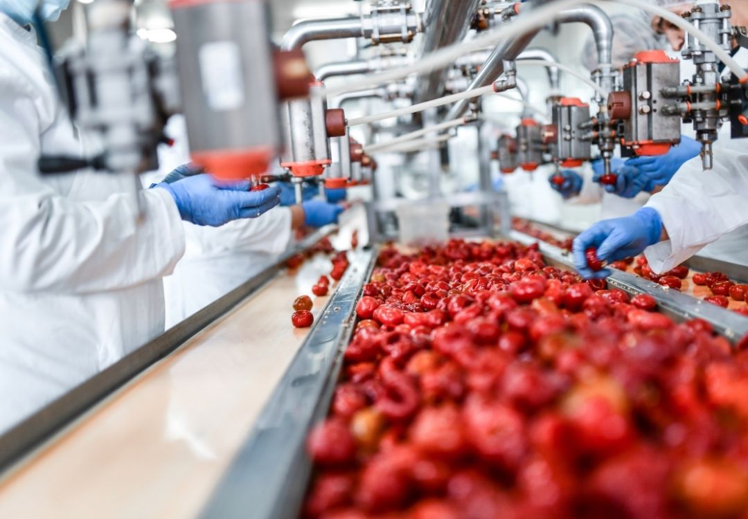 savantix industry(8)
